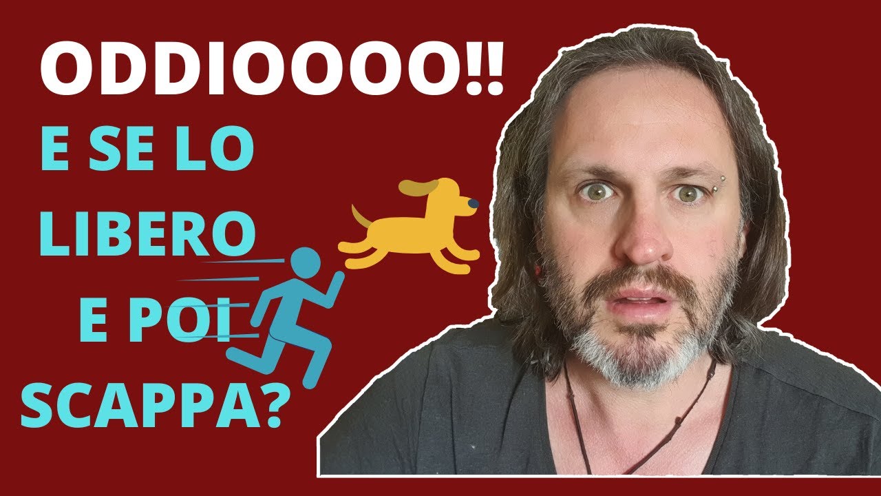 E se lo libero e poi scappa?
