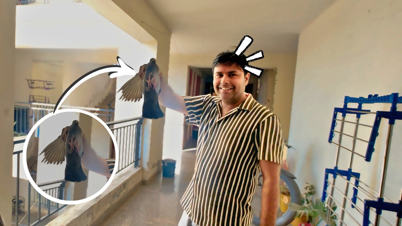 Papa Ji Ne Kabutar Pakad Liya 🫡 | Aradhya dar gai 🤣