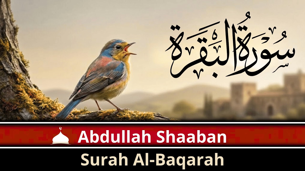 سورة البفرة  | Full Quran Tilawat | Relaxing Recitation | Abdullah Shaaban