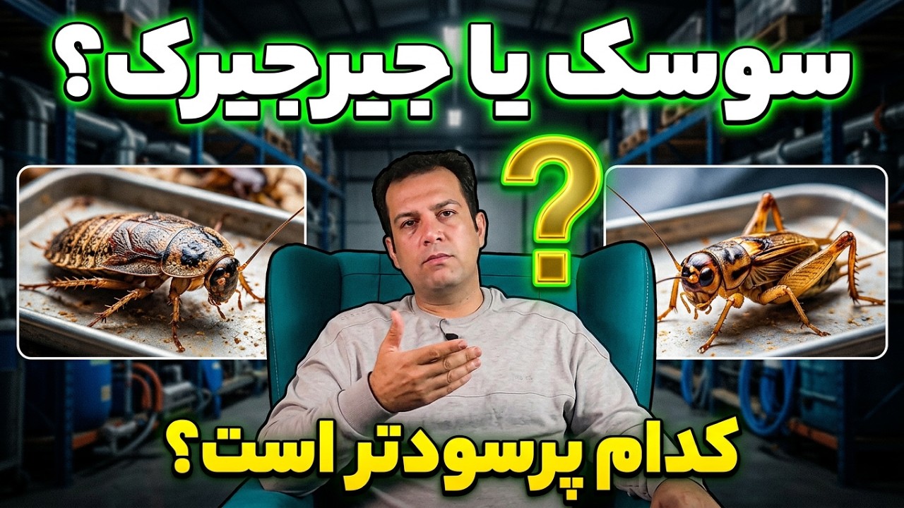 پرورش جیرجیرک , پرورش سوسک حمام , سوسک آشپزخانه , سود پرورش حشرات  , سود حشرات