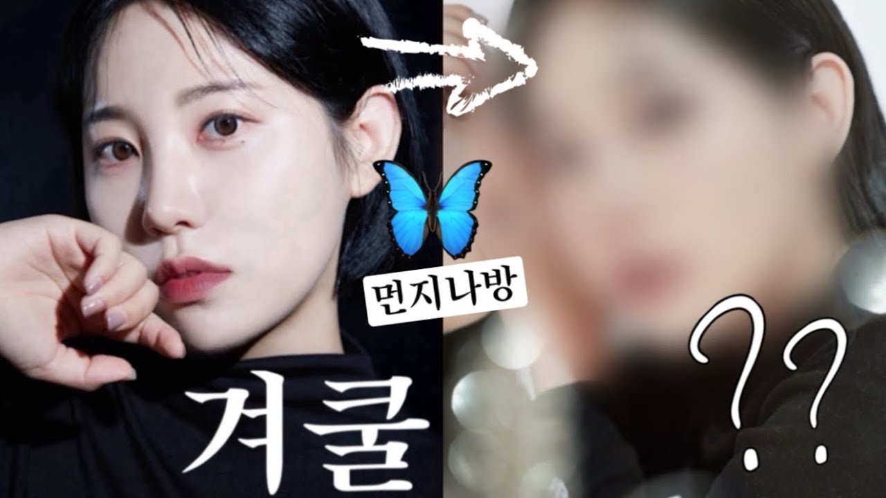 퍼스널 재진단?..🙄퍼스널컬러 1티어 먼지나방🦋다녀와봤어요...! 가을딥톤?겨울다크?가을웜톤? 포트레이트 증명사진까지!ㅣ알라 ALLA BEAUTY