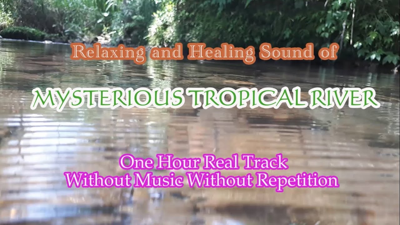 Nature Relaxation Soundscape - Sound Healing Therapy - Sound of Mysterious Tropical River