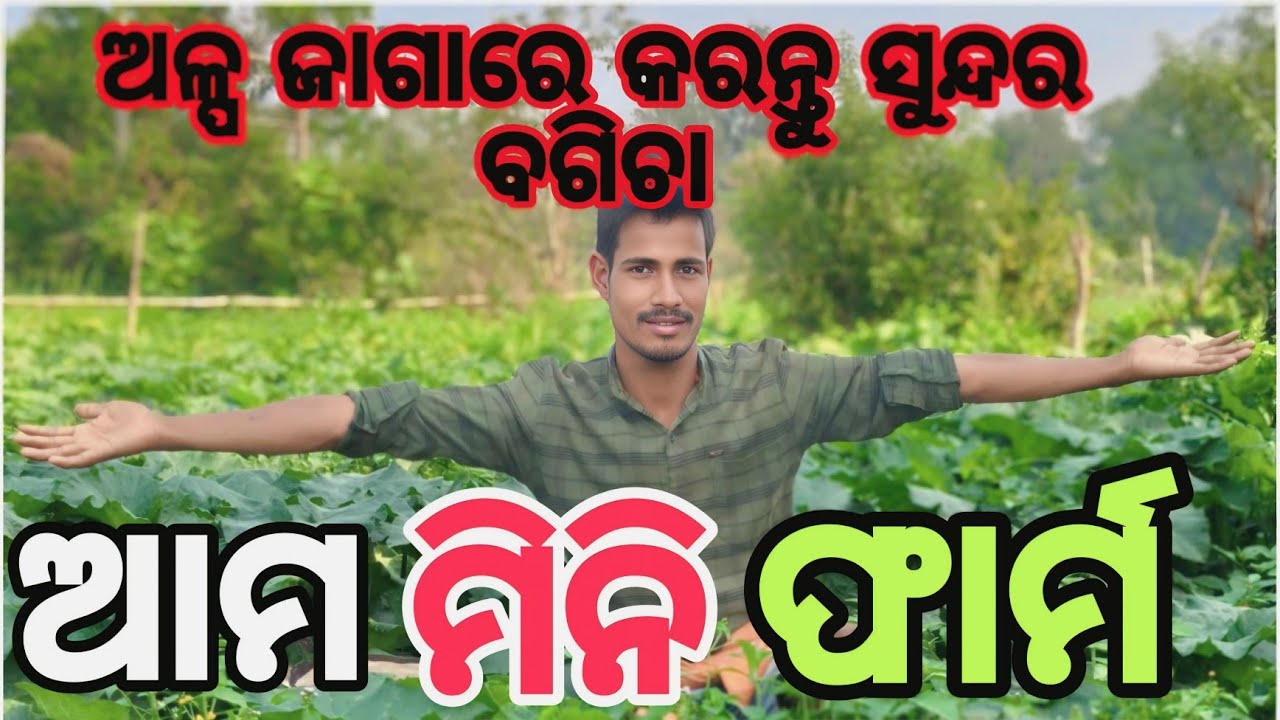 ଅଳ୍ପ ଜାଗାରେ କରନ୍ତୁ ସୁନ୍ଦର ବଗିଚା | କଖାରୁ ଫୁଲ ଓ କାକୁଡ଼ି ଅମଳ | Mini Farm Vlog Odia 🥦🧺