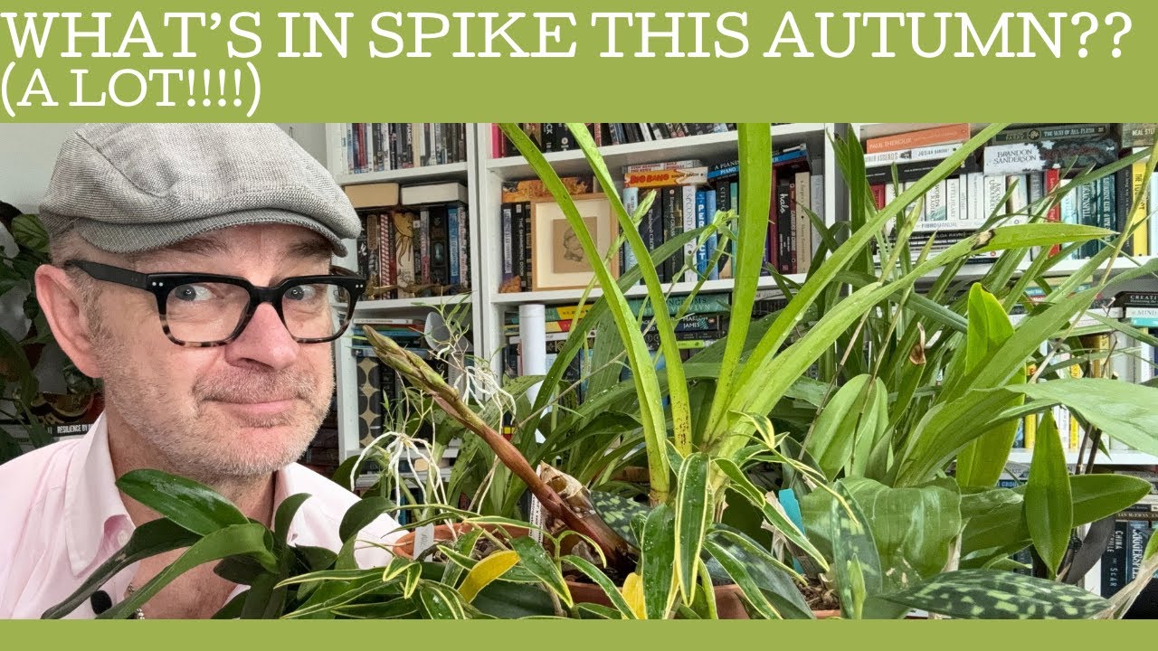 What's in spike this late Autumn????