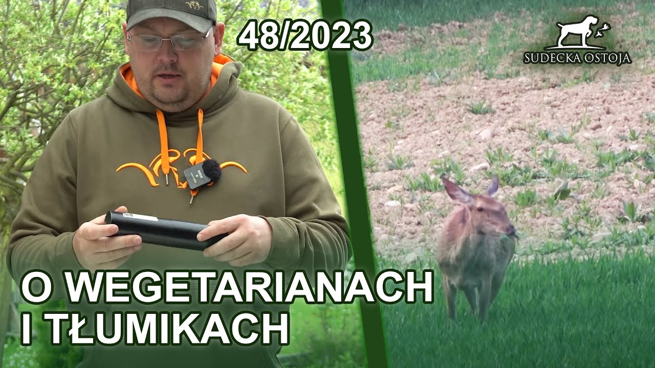 SUDECKA OSTOJA 48/2023 O tłumikach i wegetarianach.