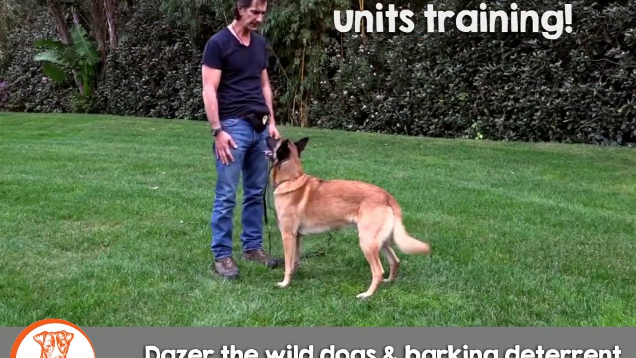 K-II Enterprises DAZER II™ Ultrasonic Dog Deterrent / Repellent - eDog Australia