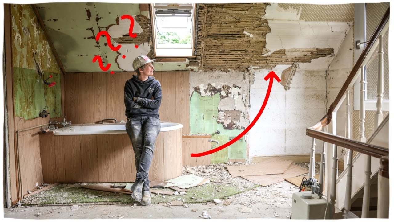 Bathroom Renovation ... with a twist