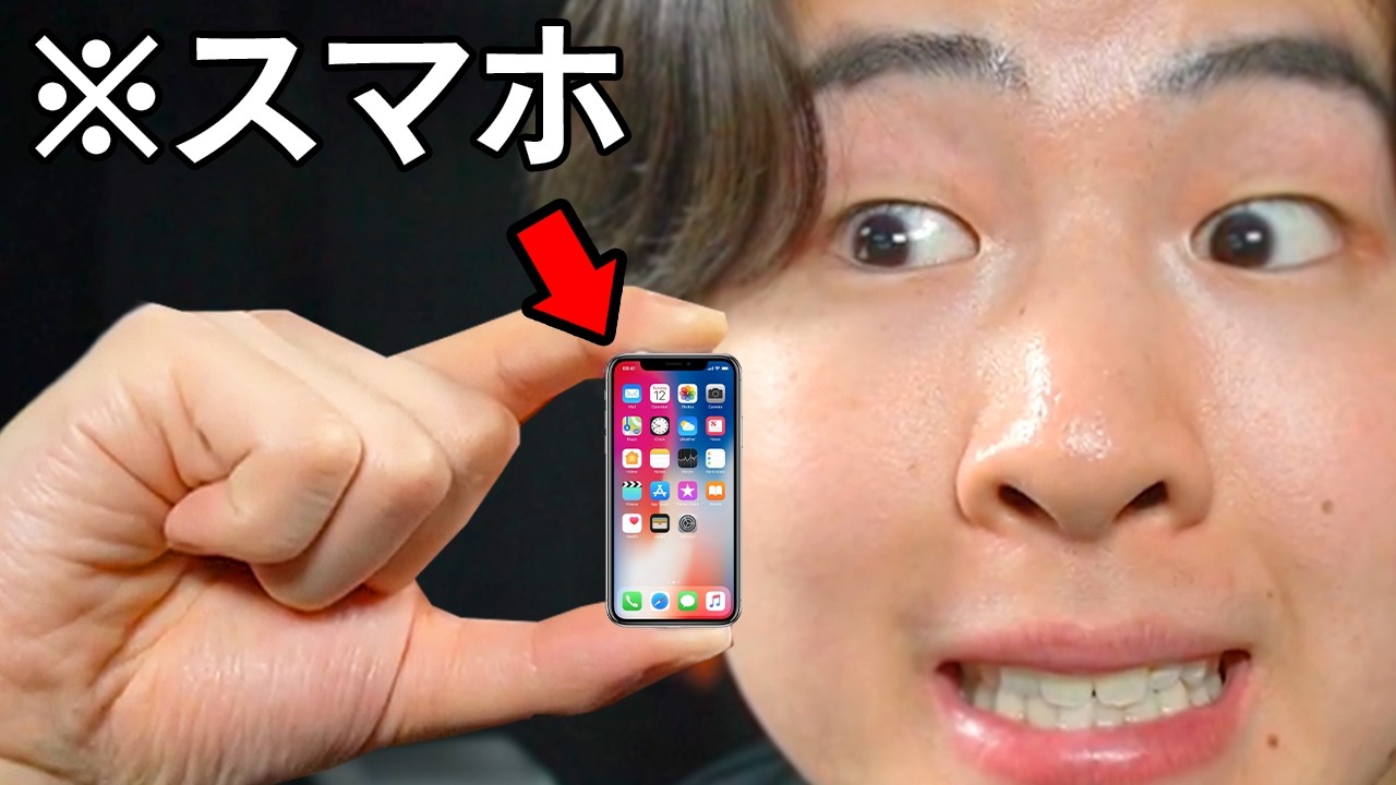世界で1番小さい商品を購入してみた結果...