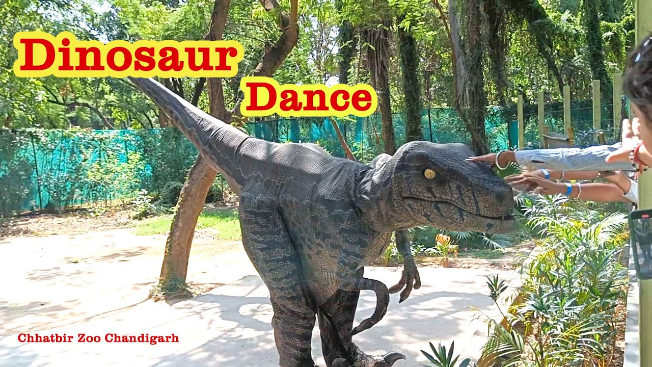 Chhat Bir Zoo Chandigarh 2023, Dinosaurs Park,  Chandigarh Zoo, Banur, Biggest zoo