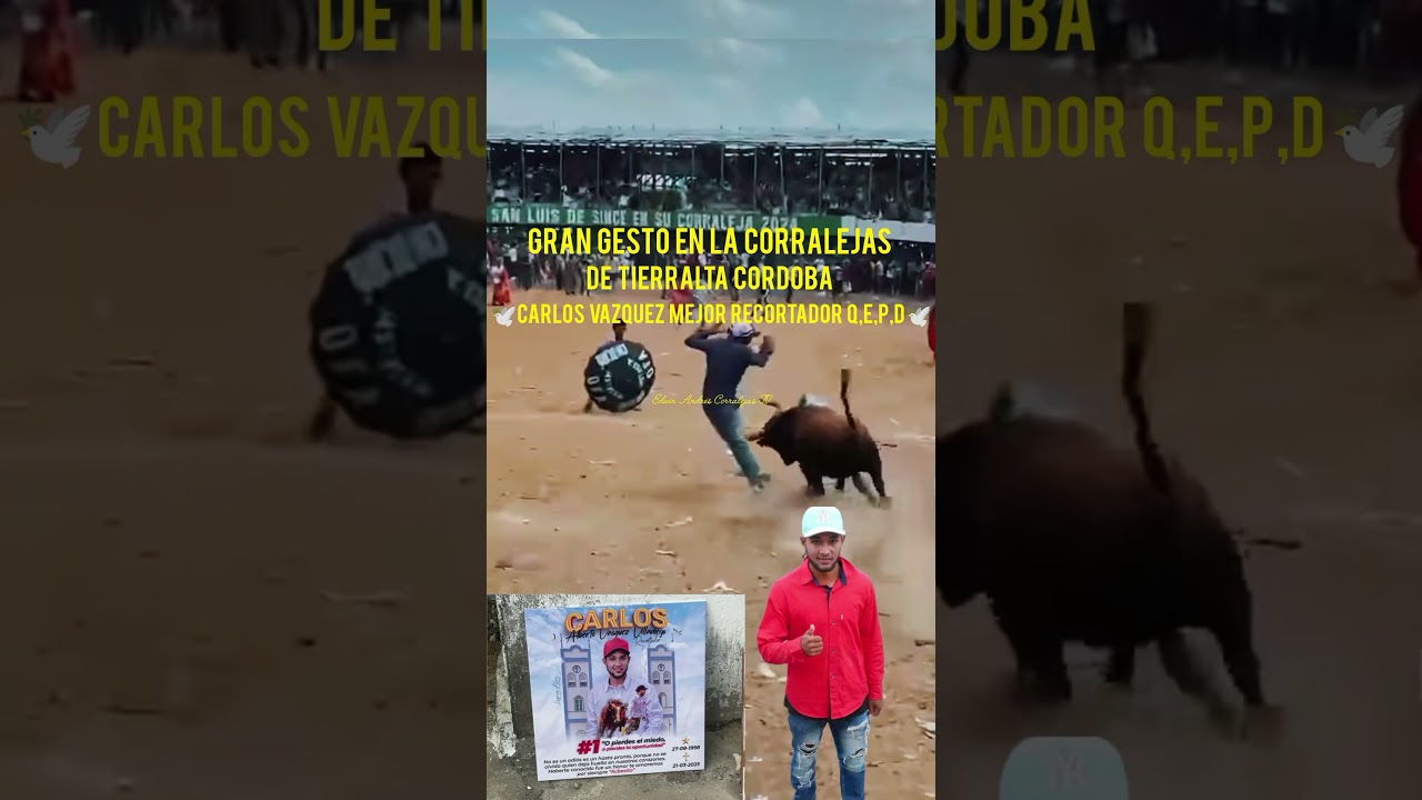 Carlos Vazquez Mejor Recortador Tierralta 2025 🏆🕊️Descansa En Paz🕊️ #toros #caballos #corralejas