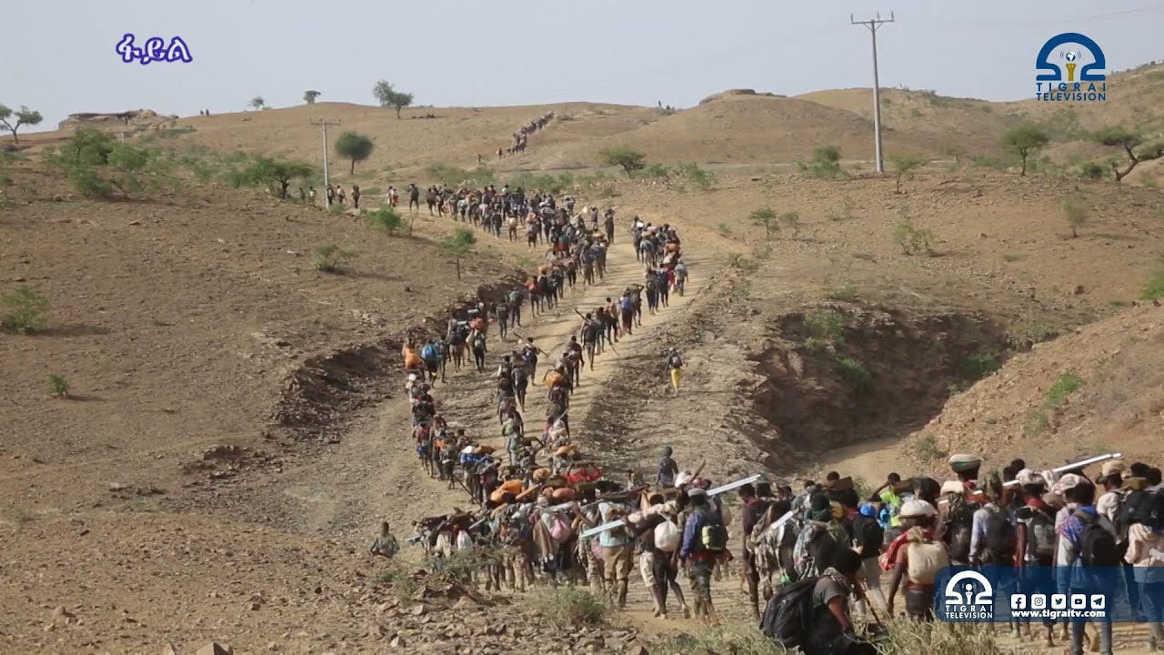 ወፍሪ ስዩም መስፍን መኸተ ህዝቢ ትግራይን ሰራዊት ትግራይን ቀፃልነቶም ዘረጋገፀ ነይሩ  ይብሉ ኣብቲ ወፍሪ ግብኦም ዝፈፀሙ ሰራዊት ትግራይ፡፡
