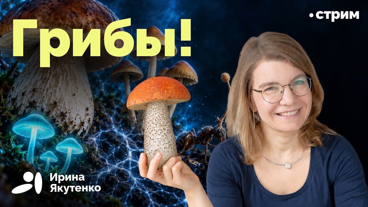 Как они тайно управляют планетой