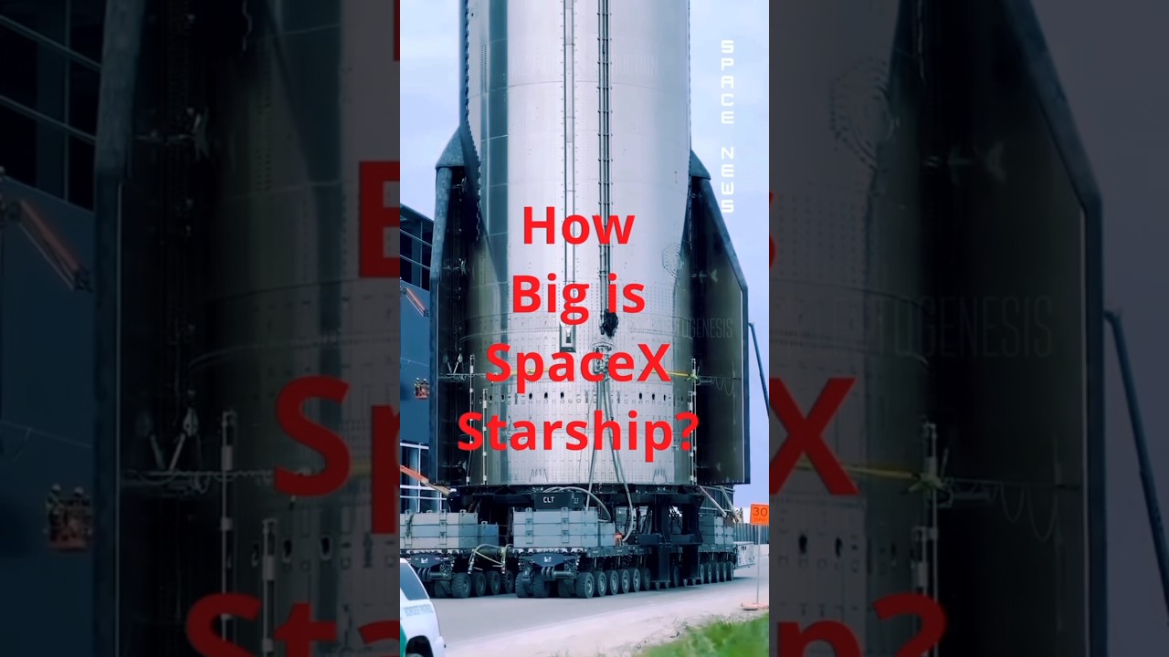 How big is #spacex #starship ? #spacenews