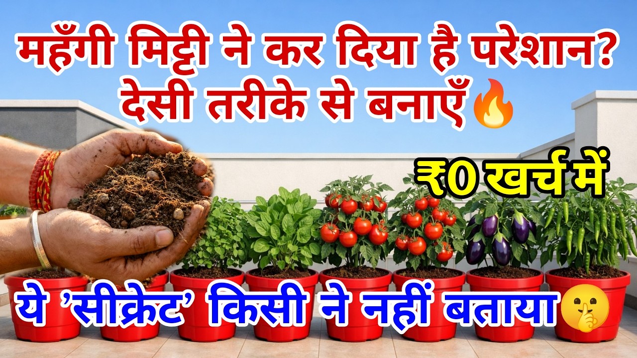 मिट्टी खरीदना बंद करो❌घर पर बिल्कुल FREE में बनाएँ गमले की 'परफेक्ट मिट्टी'|How to make Potting Soil