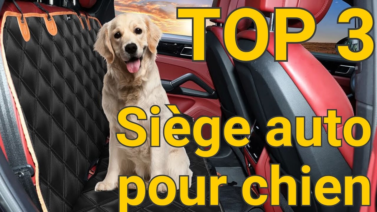 TOP 3 : Meilleur Si&egrave;ge Auto Chien - 2025