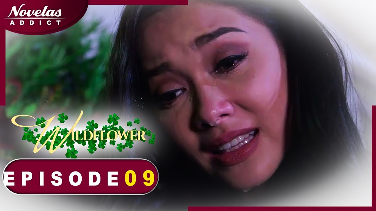 FLEUR SAUVAGE - Episode 09 - Novelas Complete en Francais