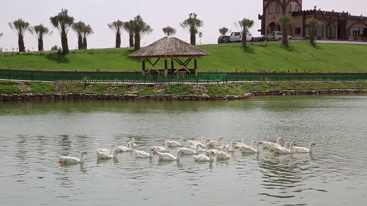 Corporate Film about Kuwait Oil Company