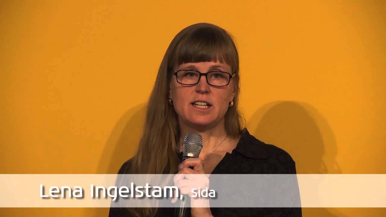ReCom: Aid and the Social Sectors 1/8 - Lena Ingelstam