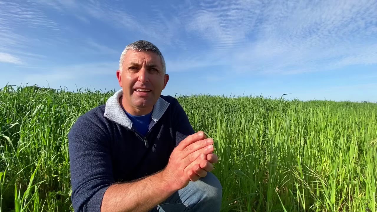 Agricoltura biologica o agricoltura convenzionale
