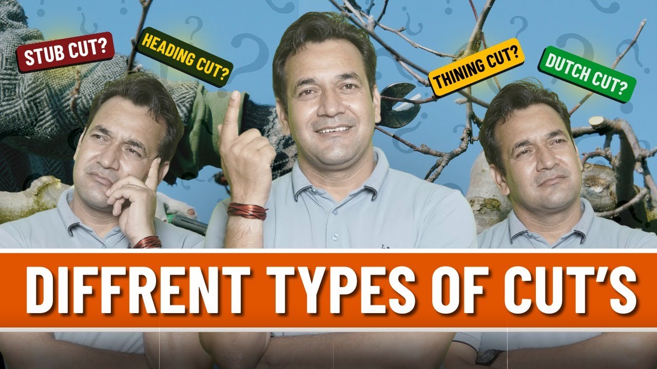 Pruning Cuts Types Samjhiye ✂️🌳Kaunse Cut Kyun Lagte Hain, Fayde-Nuksaan Aur Practical Farmer Guide.