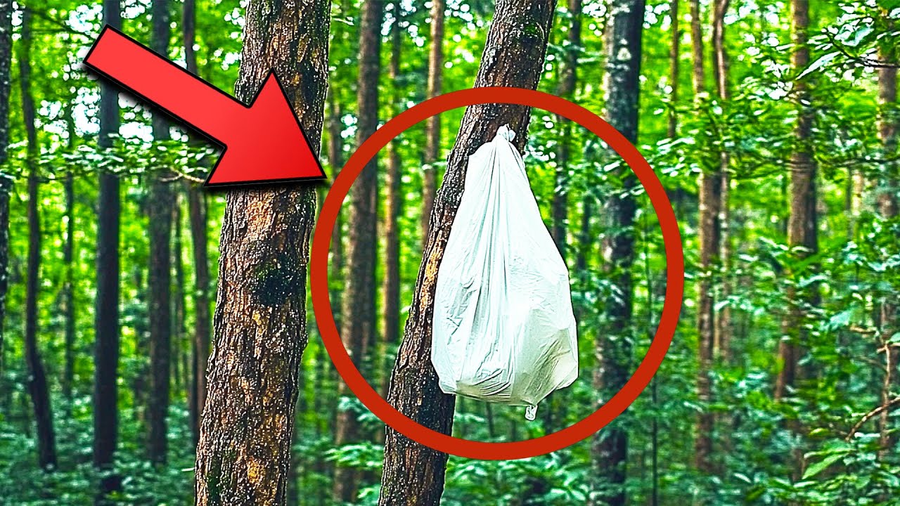 Opening The Bag, The Man Began To Cry. He Couldn't Believe Who Could Do Such A Thing!