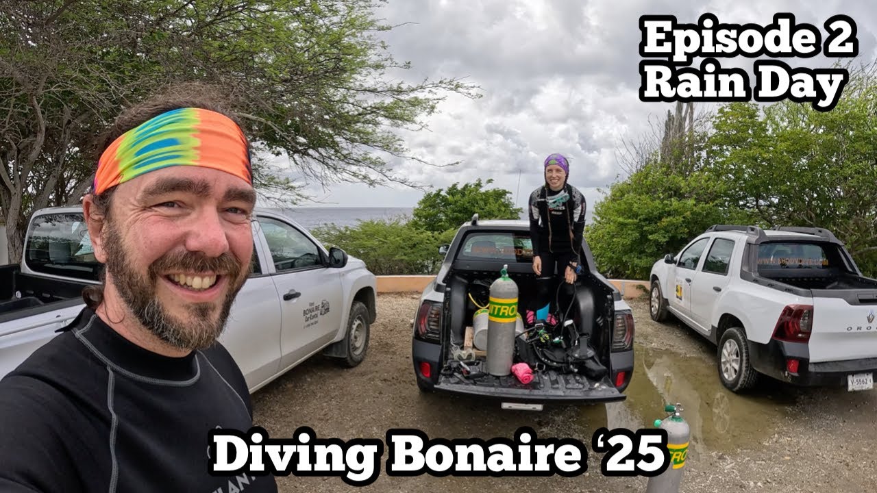 Идет дождь из кальмаров | Karpata, Oil Slick Andrea II, Salt Pier Night | Diving Bonaire '25 Ep 2