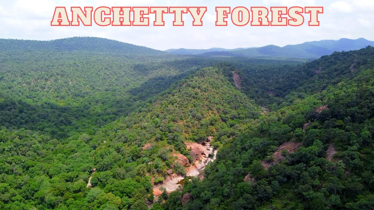 ANCHETTY FOREST | UNEXPLORED | SK GLOW