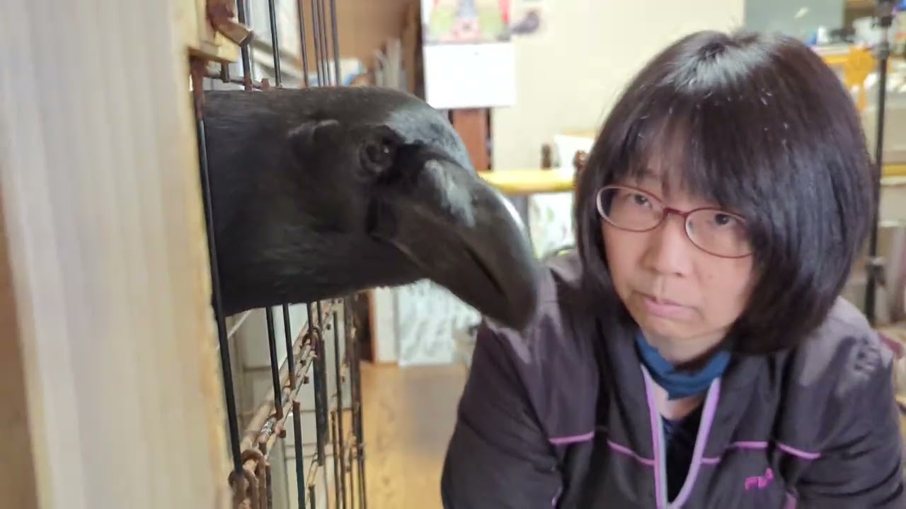 噛んで怒られてパパに甘えるハッピー