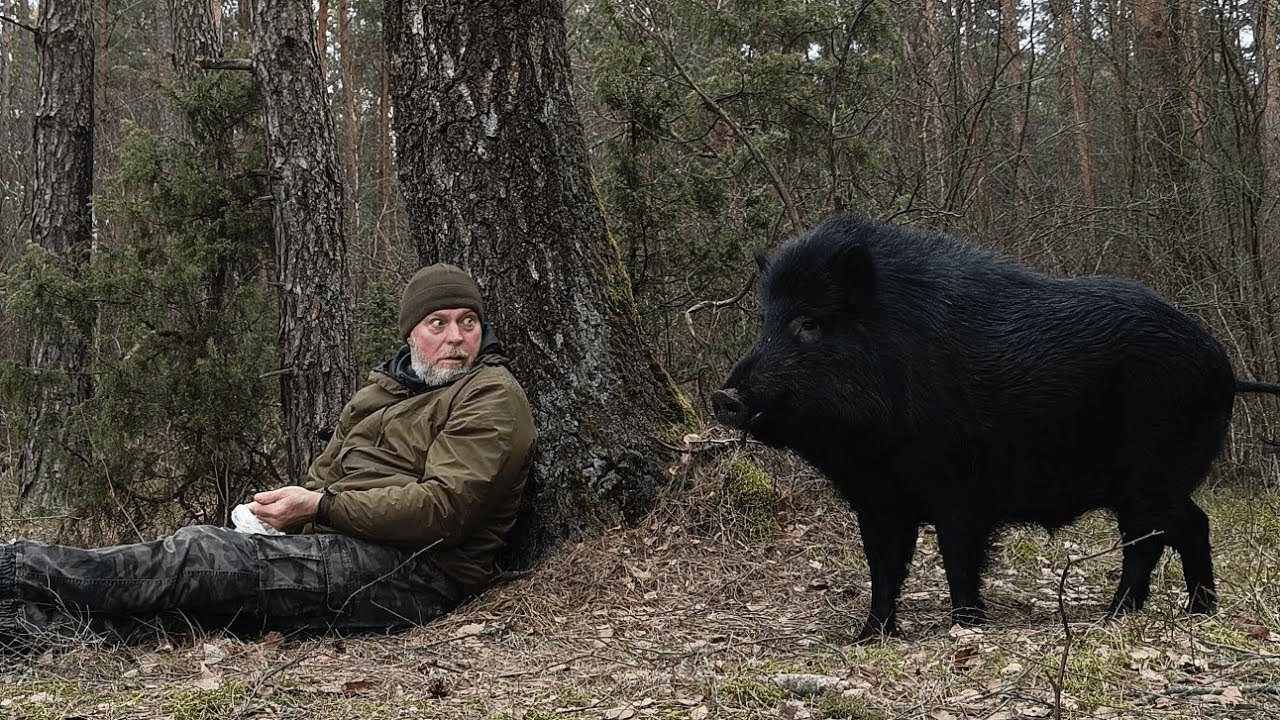 Estos animales nunca olvidarán a sus dueños | ¡Reencuentro animal después de años!