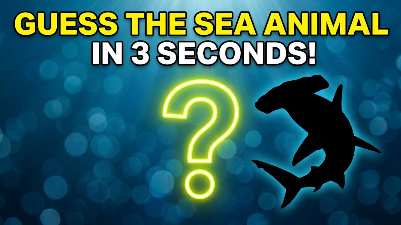 Guess the Sea Animal 🐬 | Can You Name These Ocean Creatures? (USA Quiz)