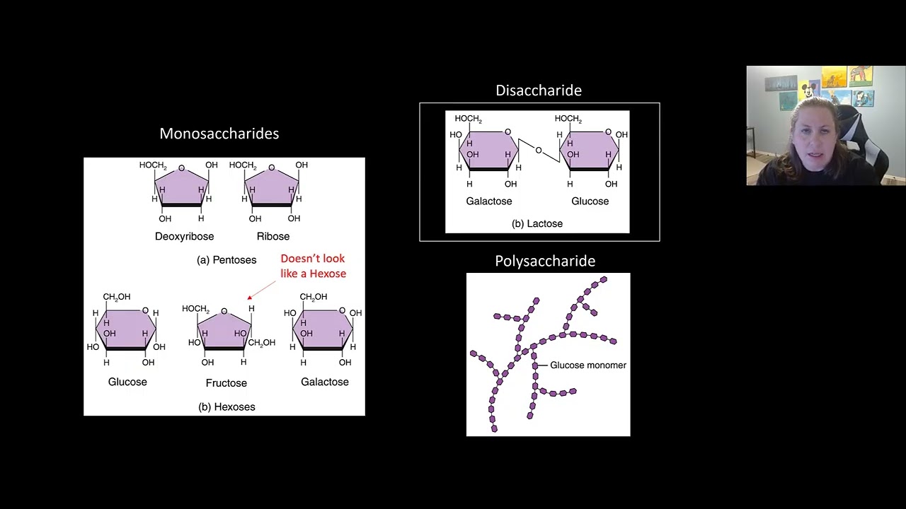 Chemical Principles Part 2