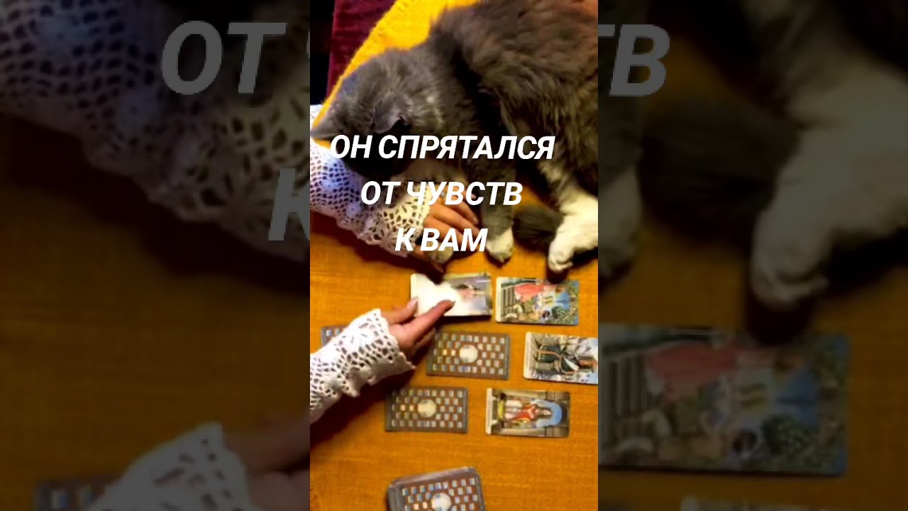 ОН СПРЯТАЛСЯ ОТ СВОИХ ЧУВСТ К ВАМ