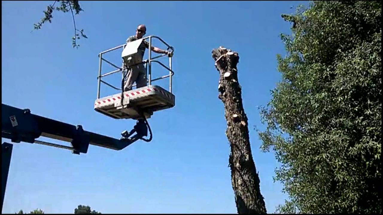 IL Taglia Piante con il cestello