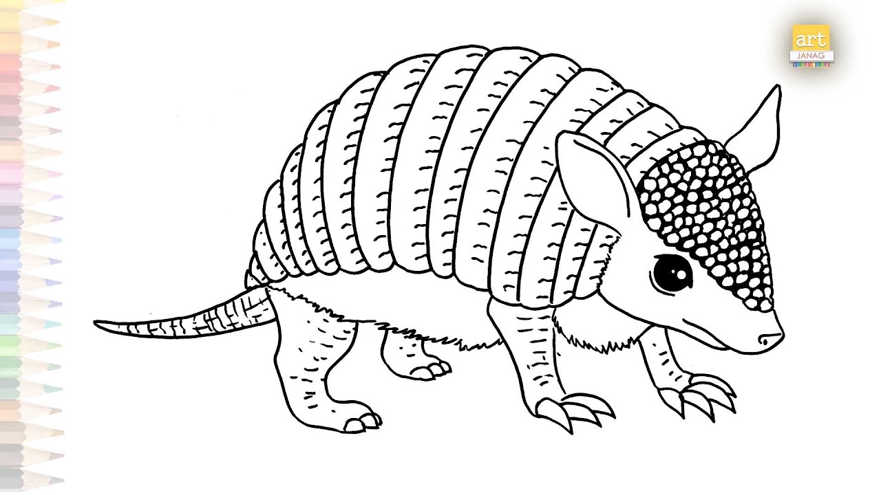 Baby Armadillo drawing easy | Animal drawing sketches | How to draw an Armadillo step by step