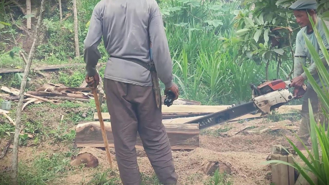 Powerful Cutting: Turning Raw Logs into Usable Lumber _FarmersLife _Shorts