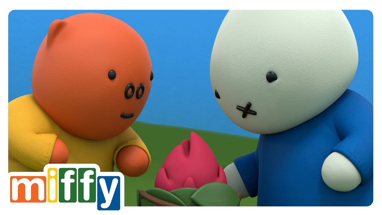 Miffy y el dragón  | Miffy | Caricaturas Para Bebés