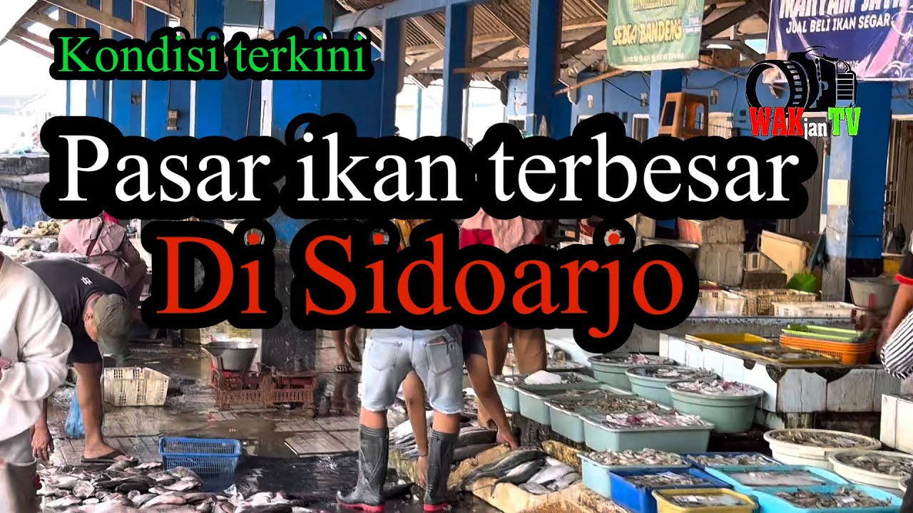 Pasar ikan terbesar sidoarjo / kondisi terkini pasar ikan di lingkar timur sisoarjo 