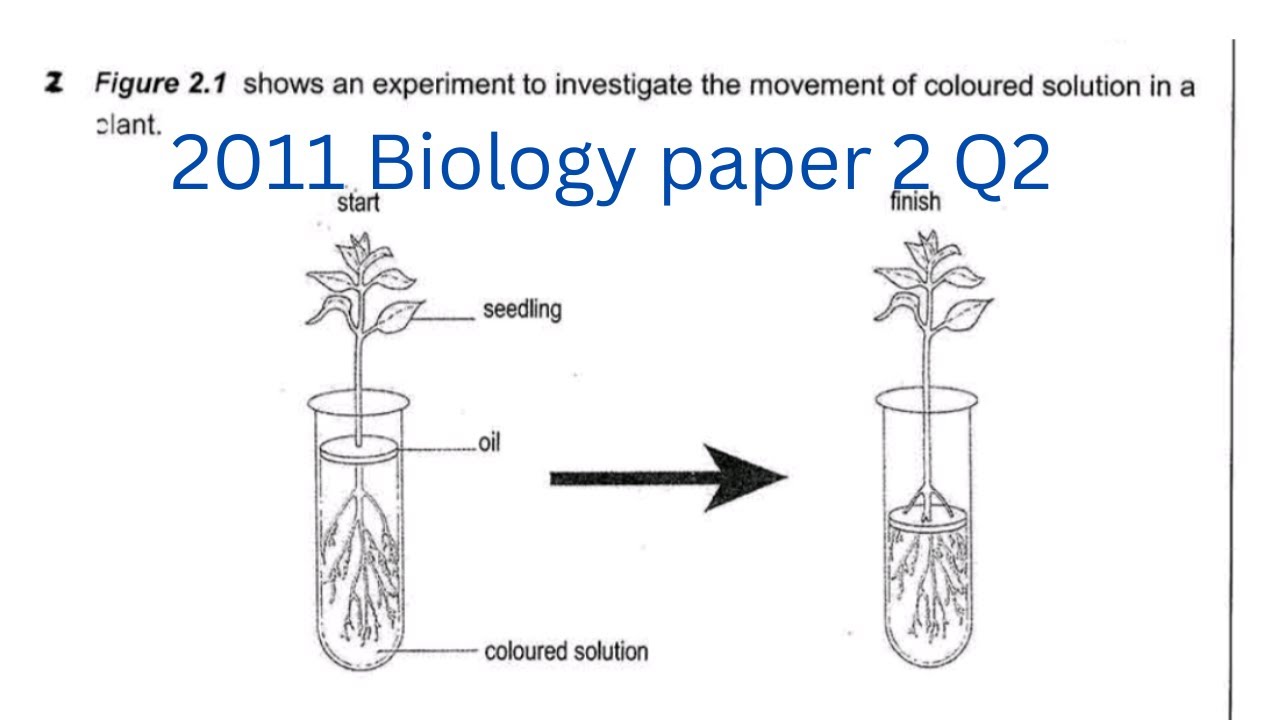 Биология, экзаменационная работа 2011 г., вопрос 2 – ECZ
