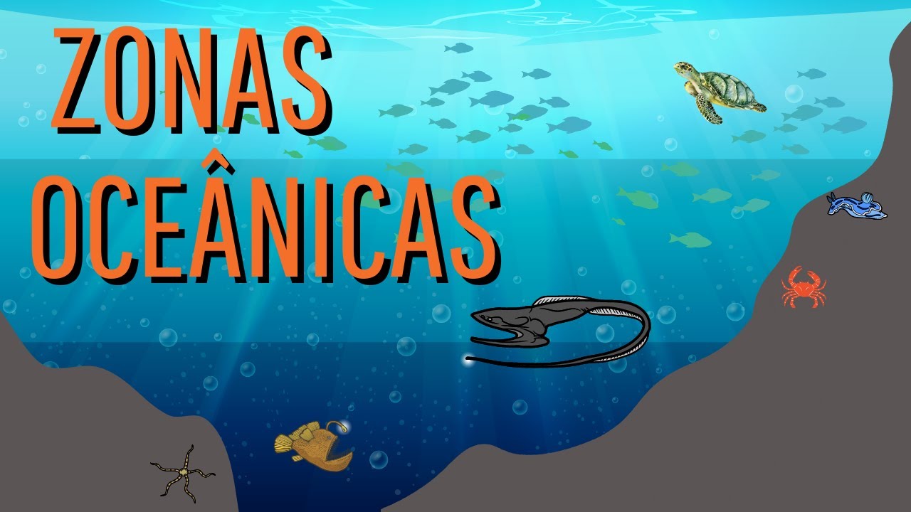 O QUE SÃO AS ZONAS OCEÂNICAS e quais organismos vivem em cada uma delas?
