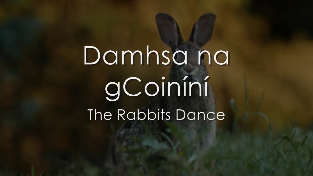 Damhsa na gCoiníní - LYRICS + Translation