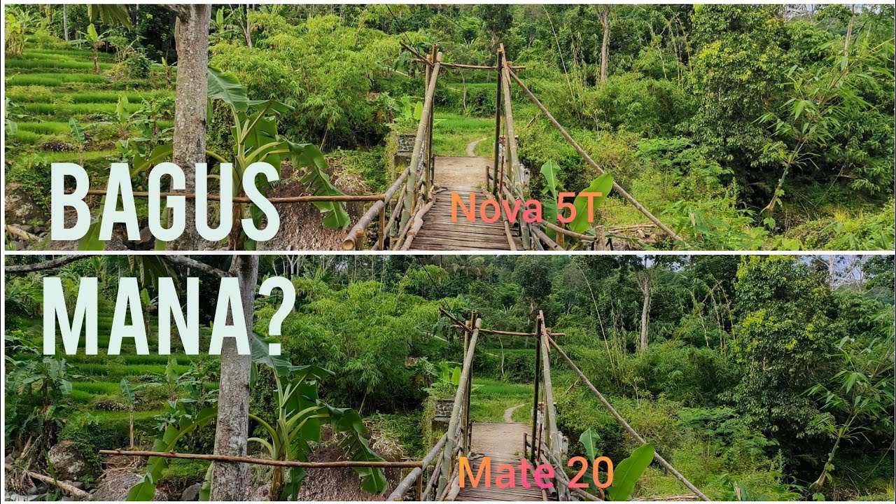 Nova 5T vs Mate 20 Camera Comparison