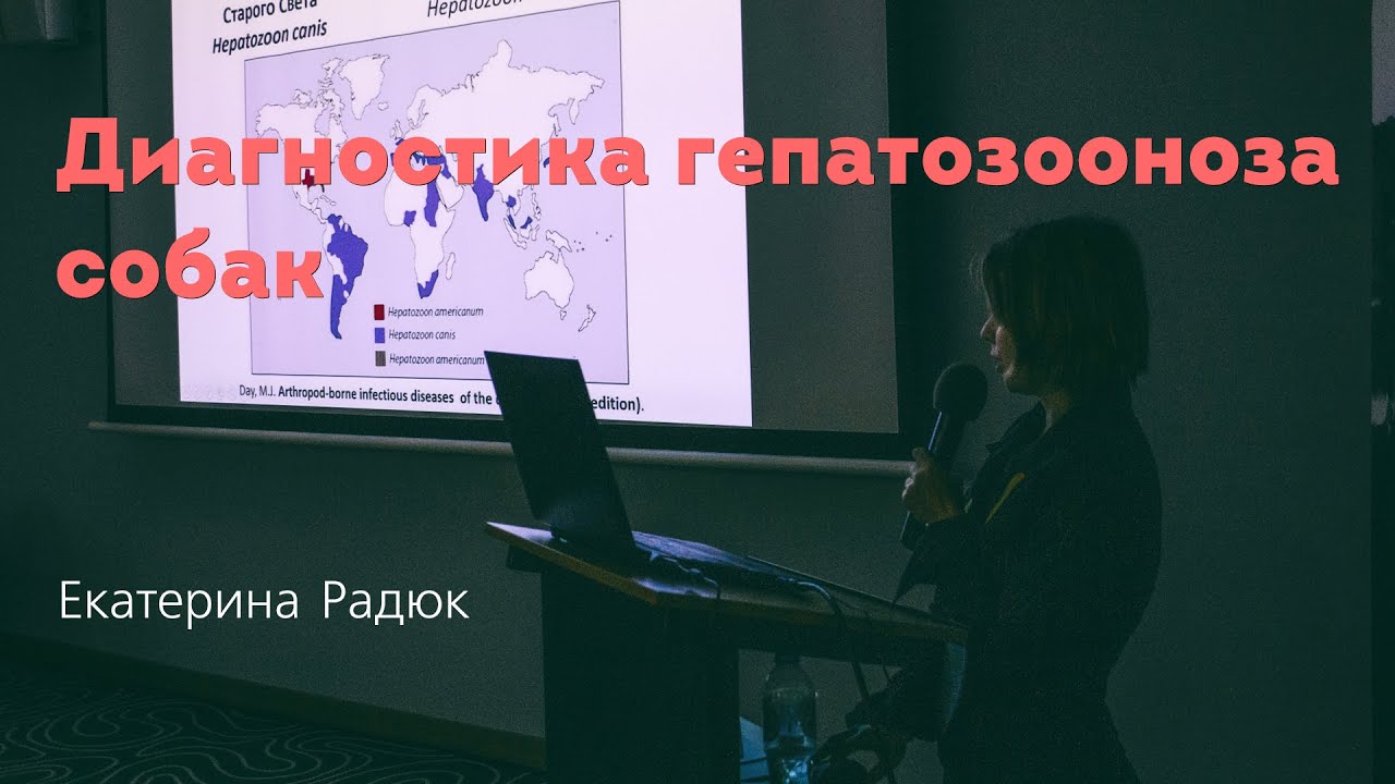 Диагностика гепатозооноза собак