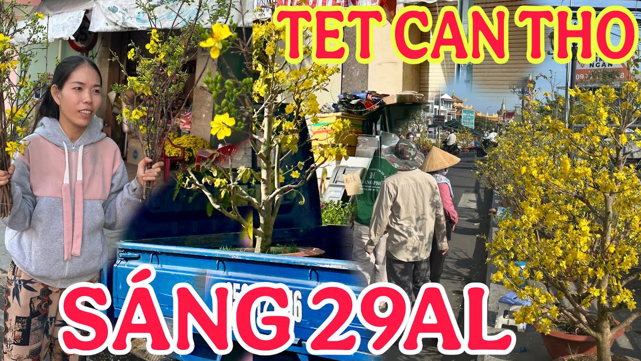 SÁNG 29TET CAN THO , ĐƯỜNG PHỐ TẾT CAN THO, NGUYỄN TRÃI, HÒA BÌNH🌺16/2/2026🌺cần thơ ký sự