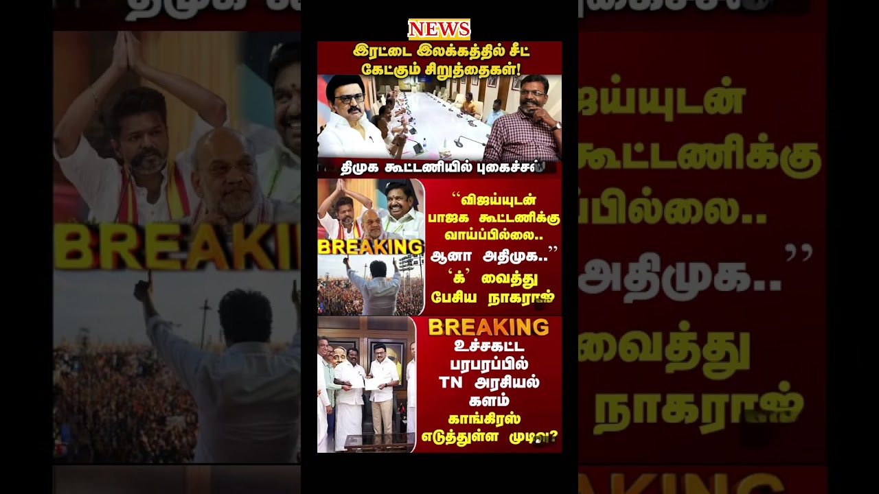 Daily political news update | #tvk #dmk #stalin #congress #rahulgandhi #breakingnews #election