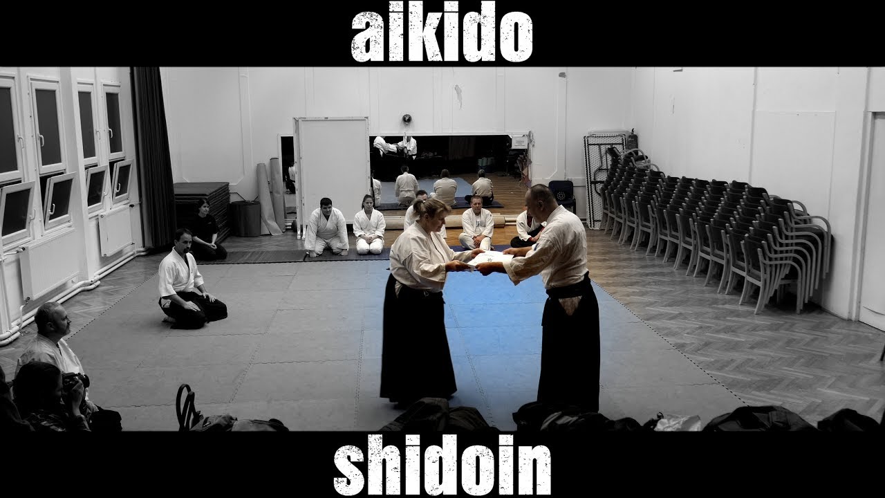 Aikido Gazdagréten Márton Imrével (6dan) - 4K