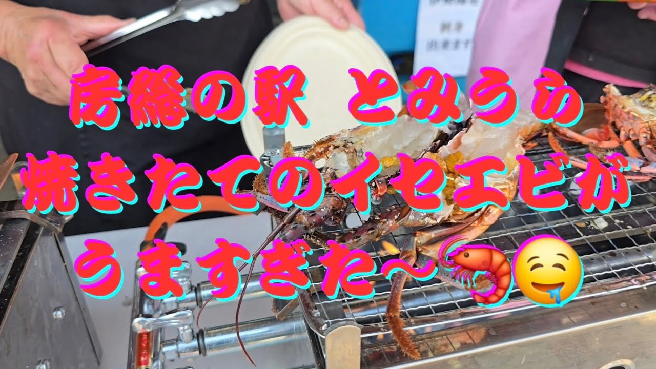 【千葉県南房総市】焼きたてのイセエビ うますぎた〜🤤 #グルメ #japanesefood #japan