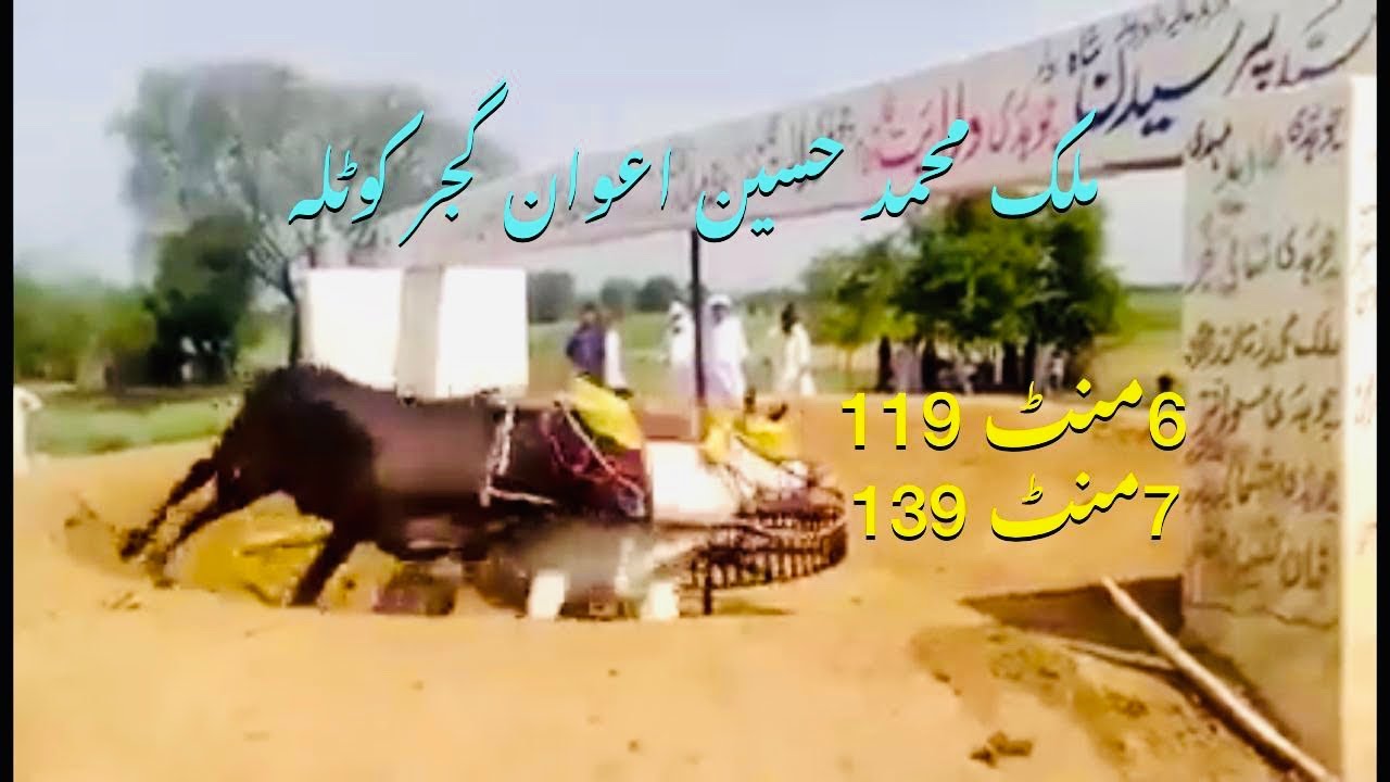 Malik M Hussain Awan Gujjar Kotla Phirt Dadu Barsala 6 mint 119 (lugi gadi) 7 mint 139.
