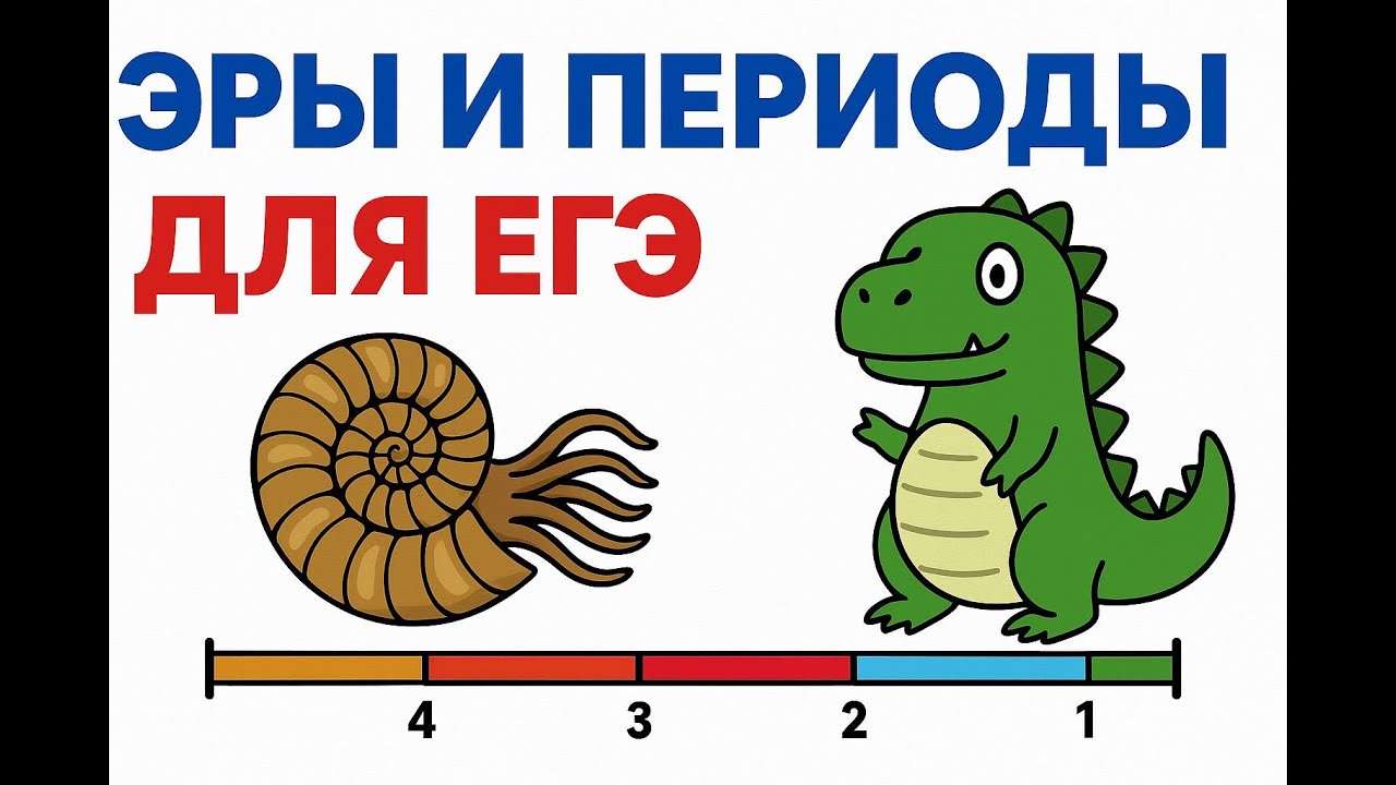 ЭРЫ И ПЕРИОДЫ ДЛЯ ЕГЭ по биологии. САМОЕ ВАЖНОЕ по теории и решение заданий формата ЕГЭ