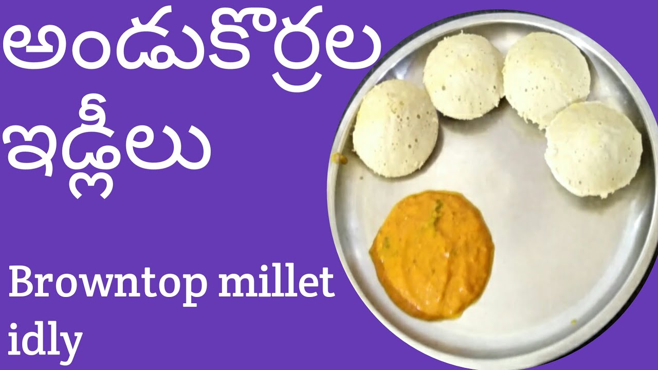 అండుకొర్రల ఇడ్లీలు||Browntop millet idly