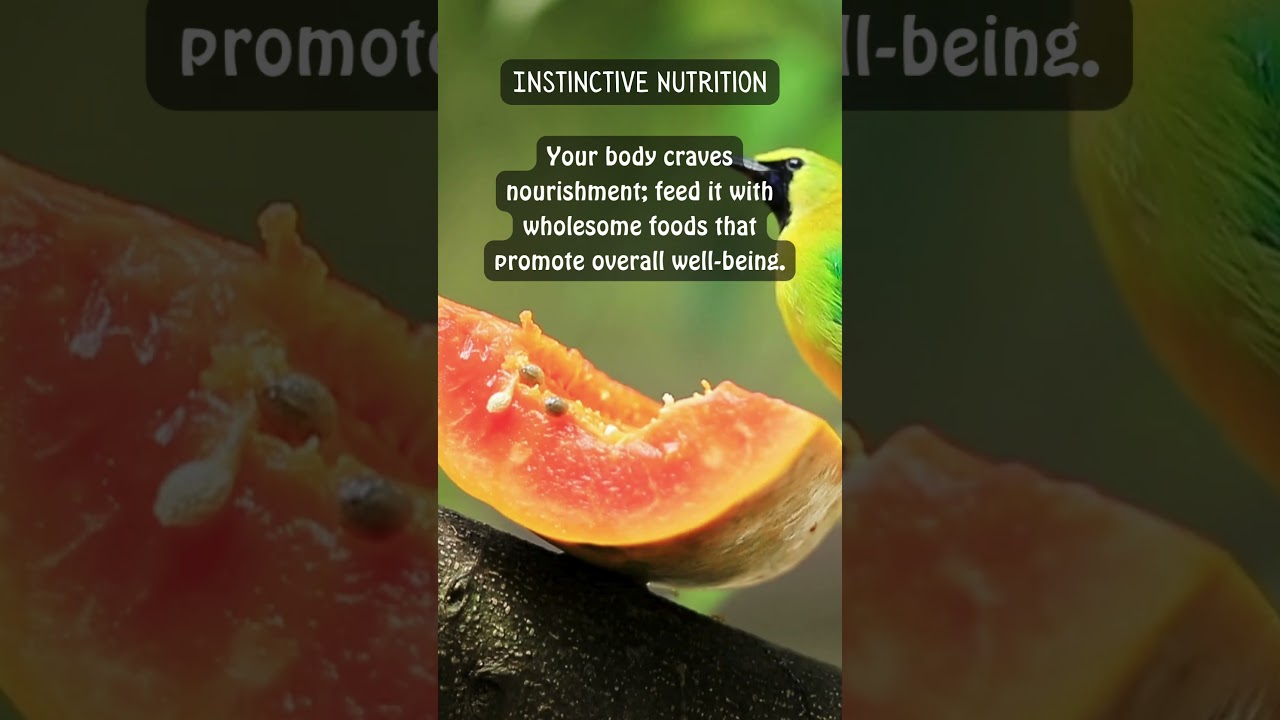 Be Your Best: Life Lessons - #life. #lessons #motivational #animalwisdom #shorts #youtubeshorts